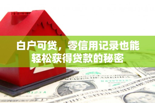 长滨白户可贷，零信用记录也能轻松获得贷款的秘密