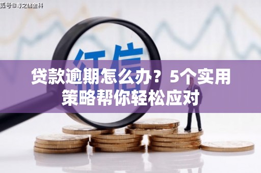 新密贷款逾期怎么办？5个实用策略帮你轻松应对