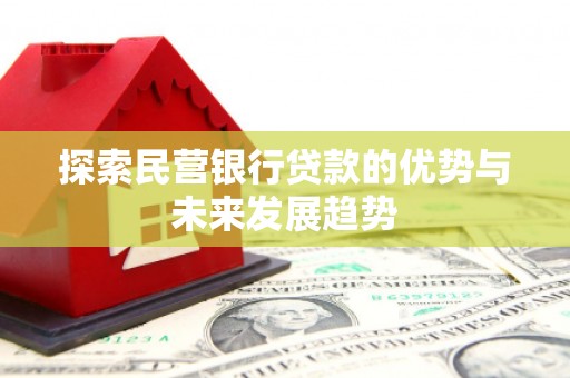 新密探索民营银行贷款的优势与未来发展趋势