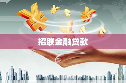 水林招联金融贷款