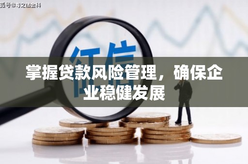 水林掌握贷款风险管理，确保企业稳健发展