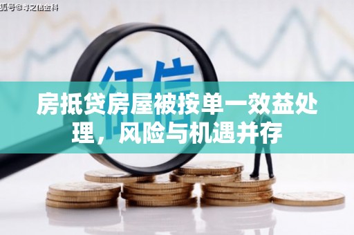 桐庐房抵贷房屋被按单一效益处理，风险与机遇并存