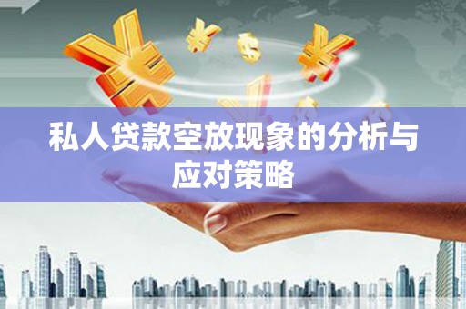 东丰私人贷款空放现象的分析与应对策略