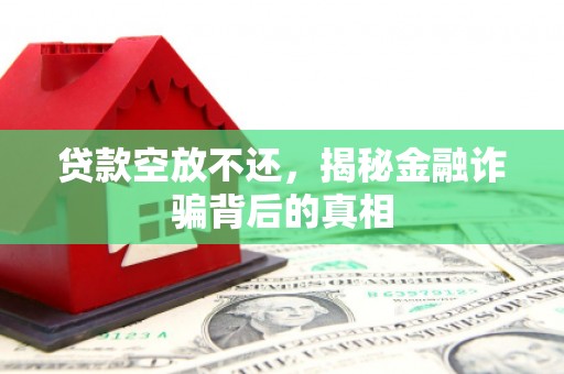 乡城贷款空放不还，揭秘金融诈骗背后的真相