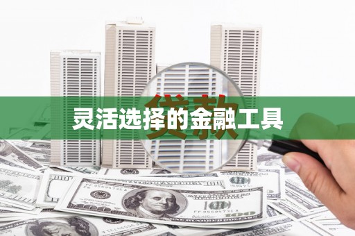 大湖灵活选择的金融工具
