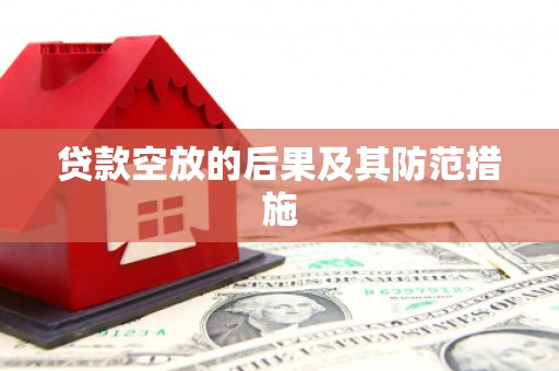 纳雍贷款空放的后果及其防范措施