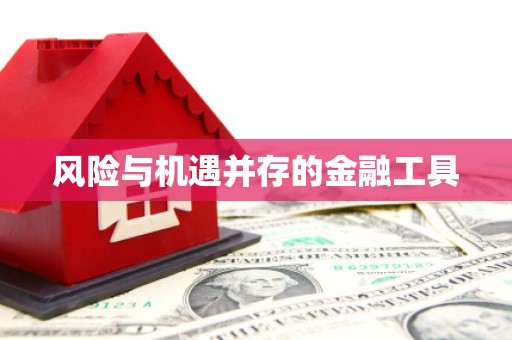 罗山风险与机遇并存的金融工具