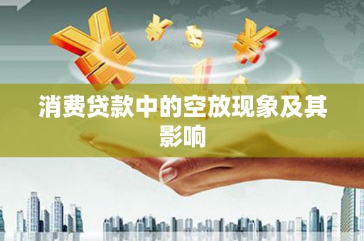 肇源消费贷款中的空放现象及其影响