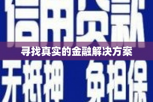 卓尼寻找真实的金融解决方案