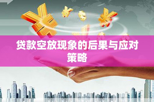 肇源贷款空放现象的后果与应对策略