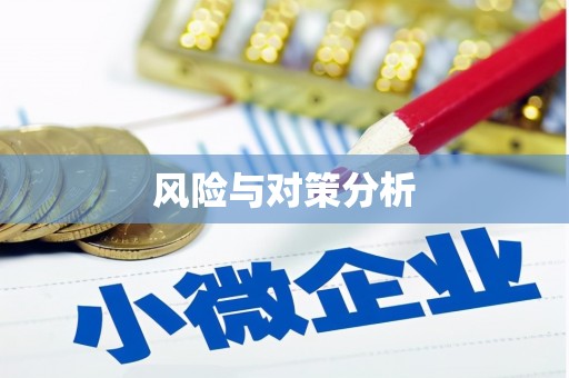 虞城风险与对策分析