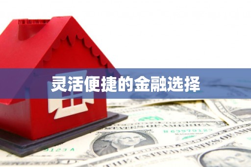 虞城灵活便捷的金融选择