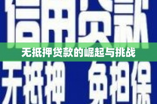 盐水无抵押贷款的崛起与挑战