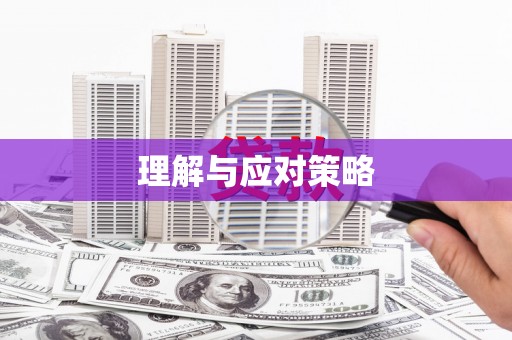 滨湖理解与应对策略