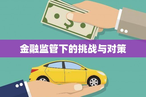 红花岗金融监管下的挑战与对策