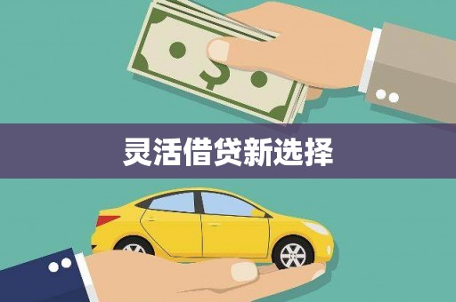 西畴灵活借贷新选择