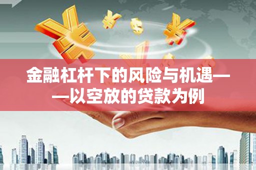 红花岗金融杠杆下的风险与机遇——以空放的贷款为例