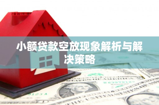澄迈小额贷款空放现象解析与解决策略