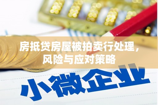 永善房抵贷房屋被拍卖行处理，风险与应对策略