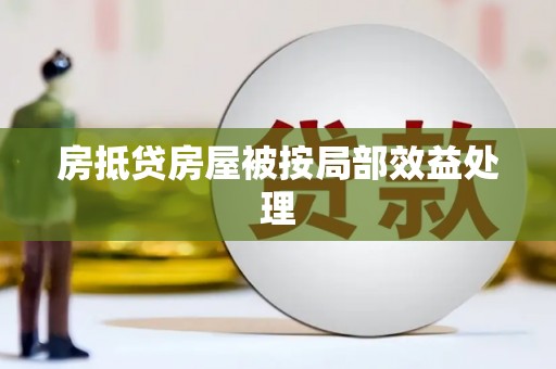 峨山房抵贷房屋被按局部效益处理