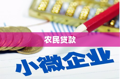 广南农民贷款