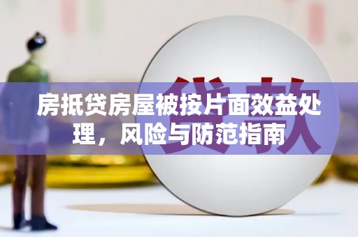 广南房抵贷房屋被按片面效益处理，风险与防范指南