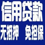 泌阳私人借钱